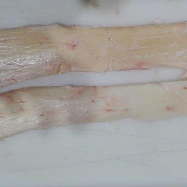 Beef Yellow Tendon img1