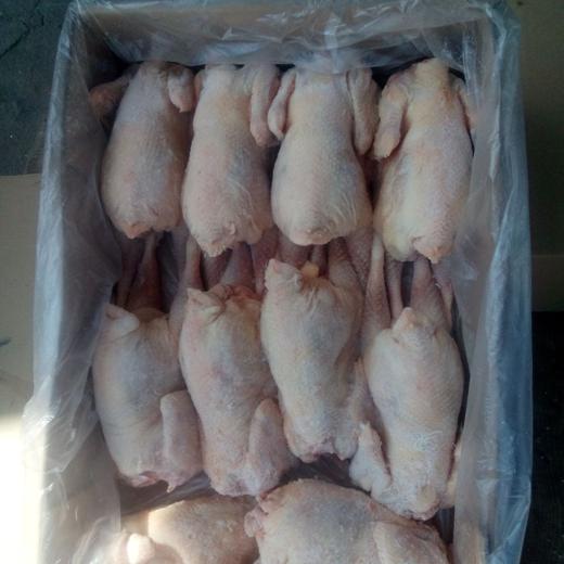 Whole hen natural img3