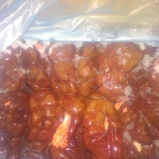 RIÑONES DE BOVINO- KIDNEY BOVINE