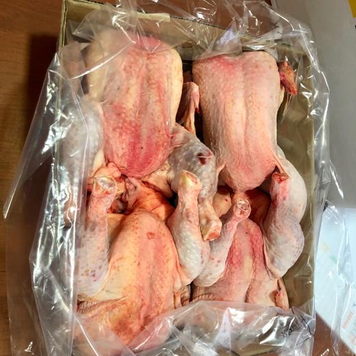 Frozen Whole Heavy Hen//Gallina pesada