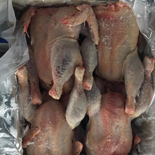 Frozen Whole Heavy Hen//Gallina pesada img1