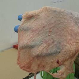 chicken skin img1