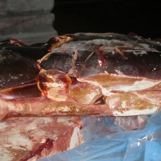 FROZEN BEEF LIVERS