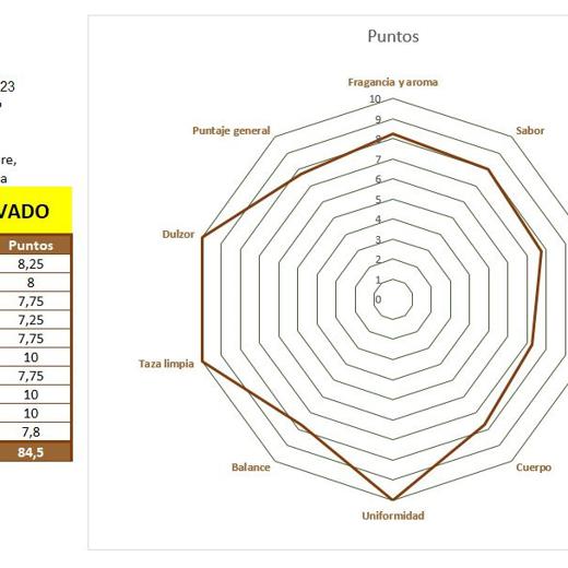 Cafe de Colombia 100% arabica de especialidad en grano / molido img5