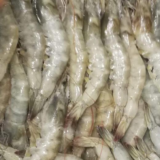 LANGOSTINO VANNAMEI img1