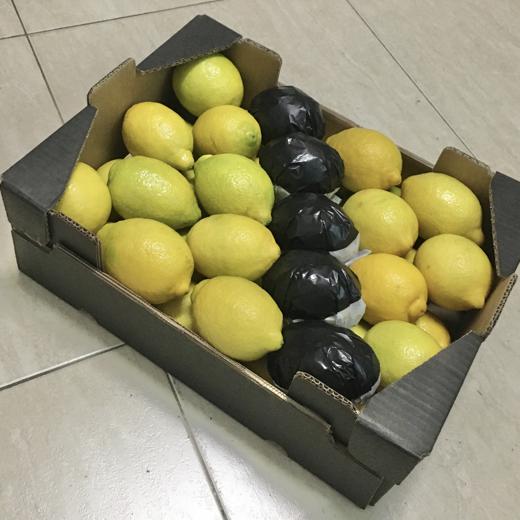 LIMON FINO