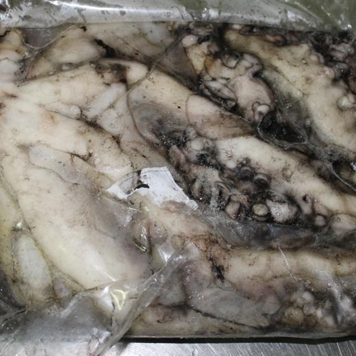 Pulpo T2 (Octopus Vulgaris)