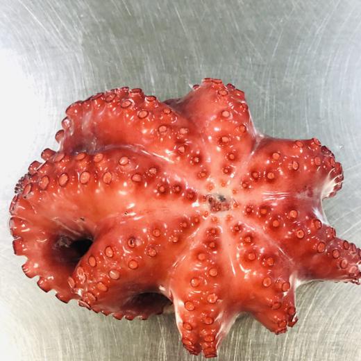 PULPO COCCIDO