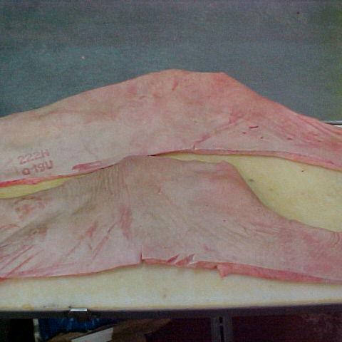 FROZEN PORK BACKFAT SKIN ON img3