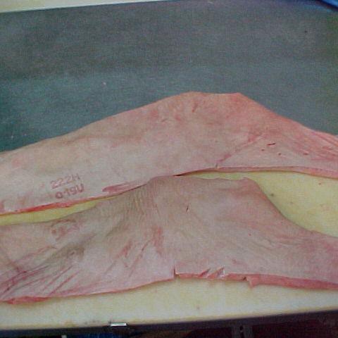 FROZEN PORK BACKFAT SKIN ON img4