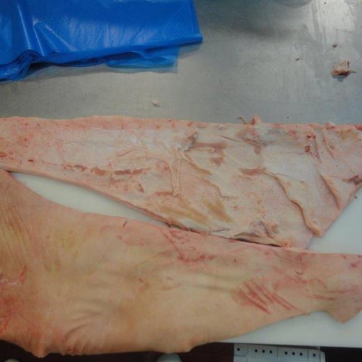 FROZEN PORK BACKFAT SKIN ON img1