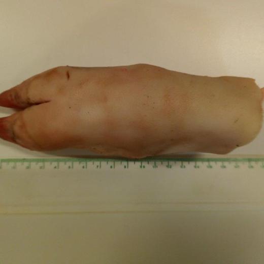 Frozen Pork Hind Feet