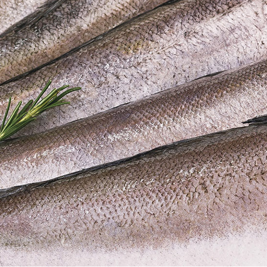 Merluza común filet (Merluccius hubbsi)