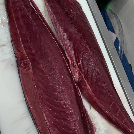 BLUE FIN ( THUNNUS THYNNUS ) LOINS FRESH