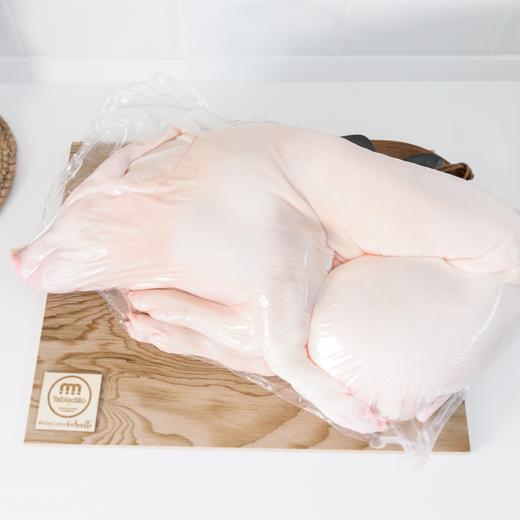 Whole piglet carcass frozen