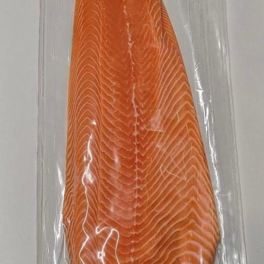 SALMON (SALMO SALAR)