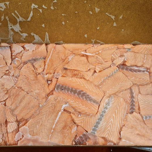 SALMON (SALMO SALAR) PORTIONS