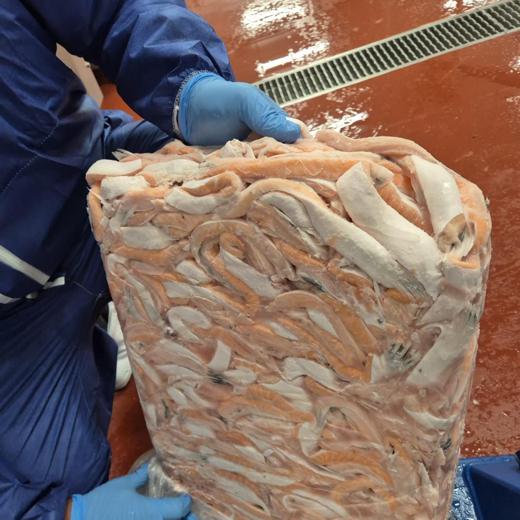 SALMON (SALMO SALAR) BELLIES