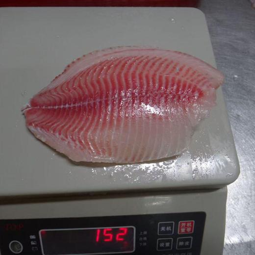 Tilapia (Oreochromis Niloticus)