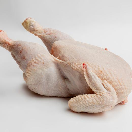 POLLO CONGELADO HALAL CATEGORÍA B