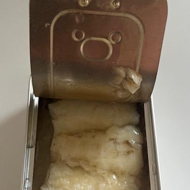 Cod (Gadus morhua) in oil img3