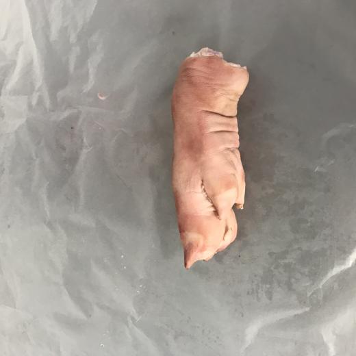FROZEN PORK FRONT FEET CARTON