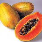 Papaya