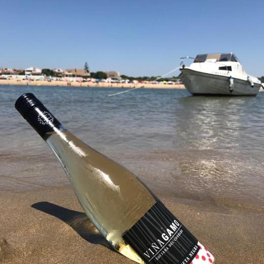 Viñagamo Etiqueta Negra - D.O. Condado de Huelva img1