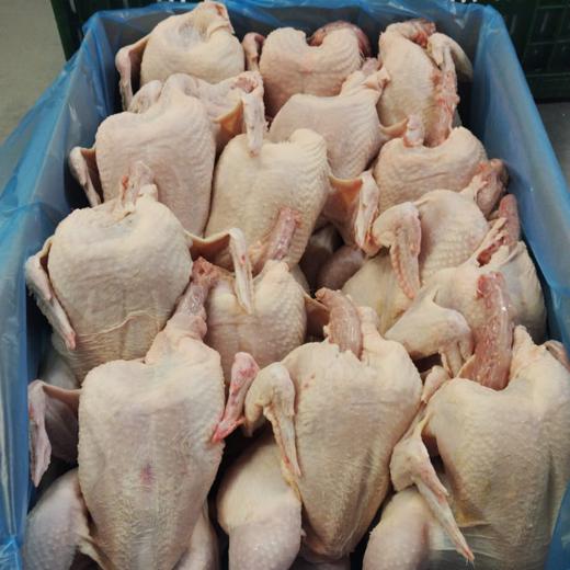 Pollo entero congelado 1kg