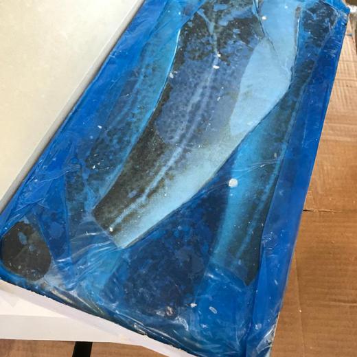 Gadus Murua / Bacalao img3
