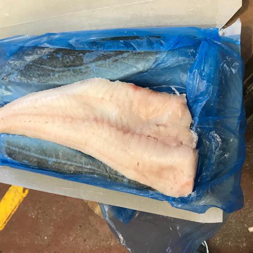Gadus Murua / Bacalao img1