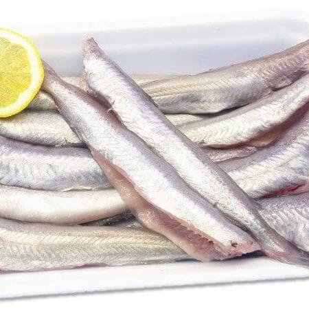 Boquerón sin vísceras y sin cabeza IQF