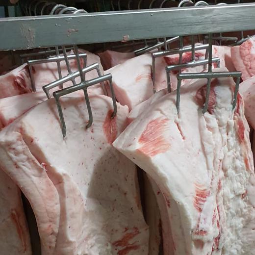 TOCINO DE CERDO IBERICO img5
