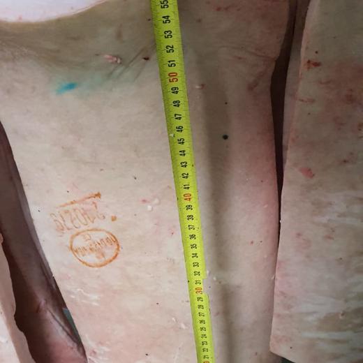 TOCINO DE CERDO IBERICO img2