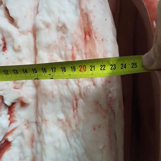 TOCINO DE CERDO IBERICO img1