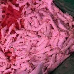Manos de cordero/lamb feet