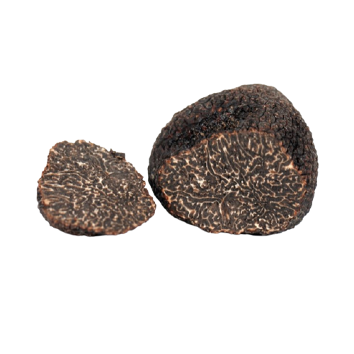 TRUFA NEGRA fresca  (Tuber melanosporum)