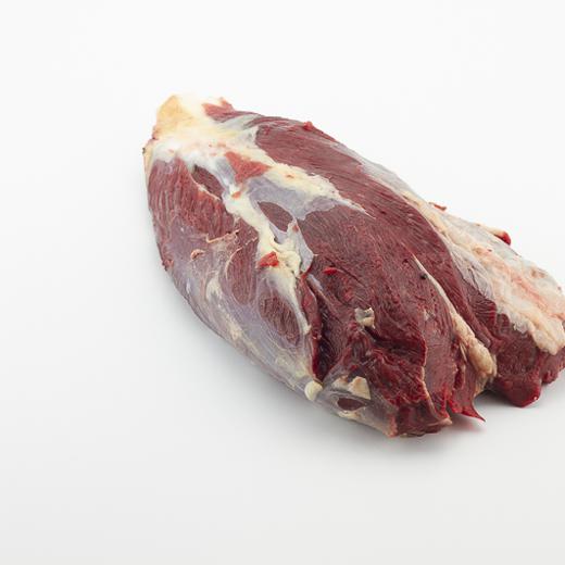 Heel Muscle Cow