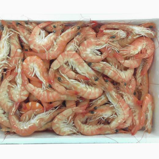 LANGOSTINO VANNAMEI COCIDO SIN ORDENAR 40/60 0% APOLO 3x2 KG