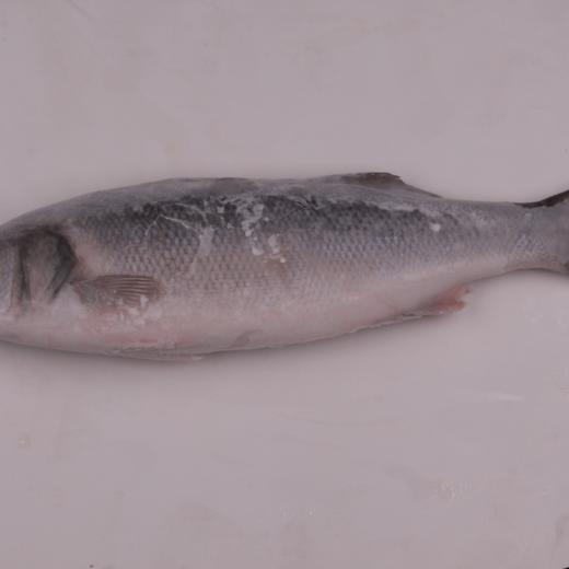 SEABASS / BRANZINO / LUBINA  WHOLE ROUND 400-600 FROZEN