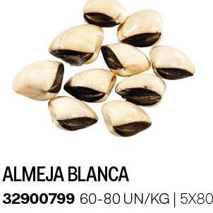 ALMEJA BLANCA img0