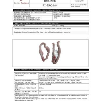 Pene - Penis