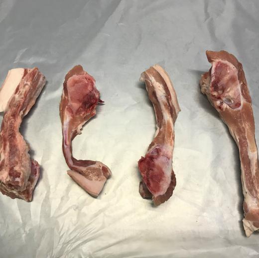 FROZEN PORK TAIL BONES CARTON