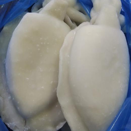 FROZEN CUTTLE FISH img1