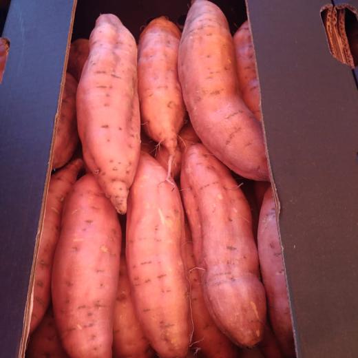 Sweet potatoes img3