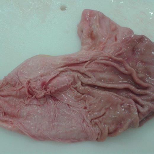 Frozen Pork Stomach pouch cut