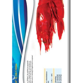 CARABINEROS - BRILLANTES 13/16 pz/kg. img2