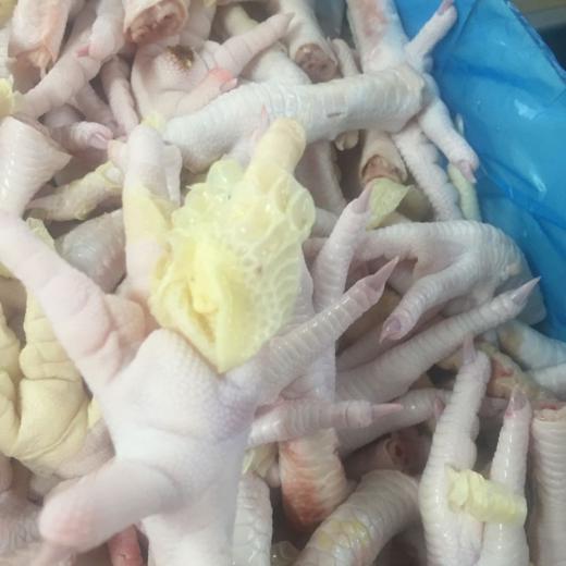 PATA DE POLLO (CHICKEEN FEET ) GRADE B img2