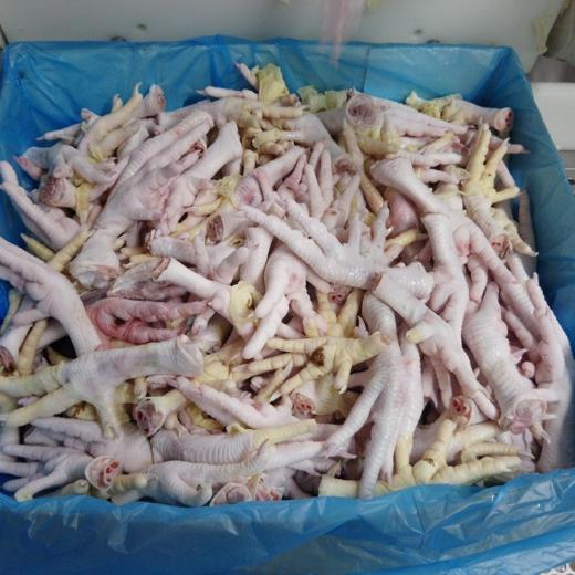 PATA DE POLLO (CHICKEEN FEET ) GRADE B img1