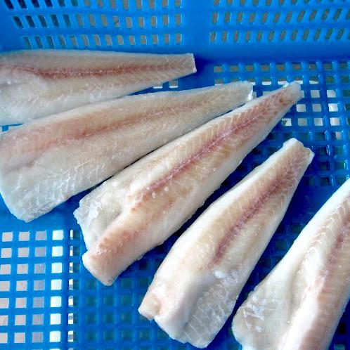 Alaska Pollock
